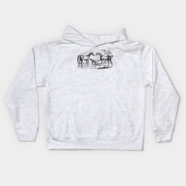 Horse Family Black & White Vintage Illustration Kids Hoodie by Biophilia